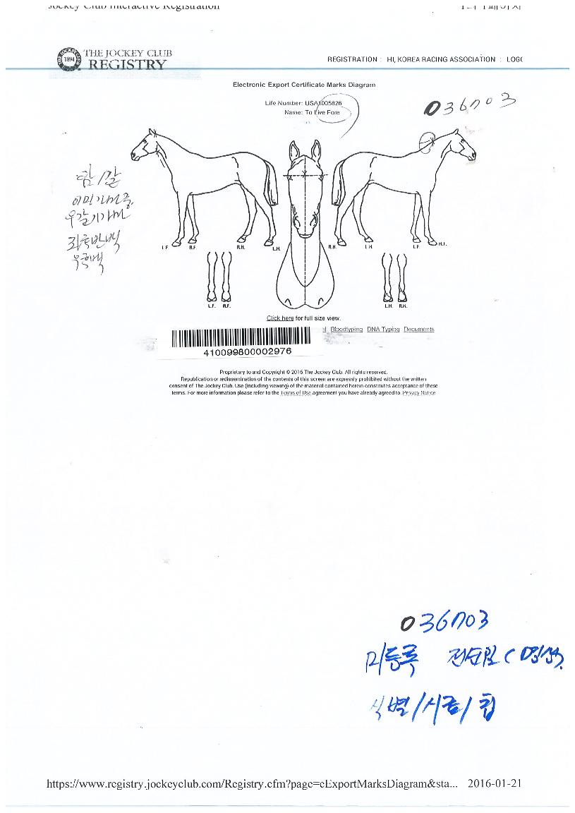 Åõ¸®ºêÆ÷ÀÇ Ãø¸é,¿ì¸é,µÞ¸é,µÎ»ó,´Ù¸®ÀÇ Æ¯Â¡µµÇØ