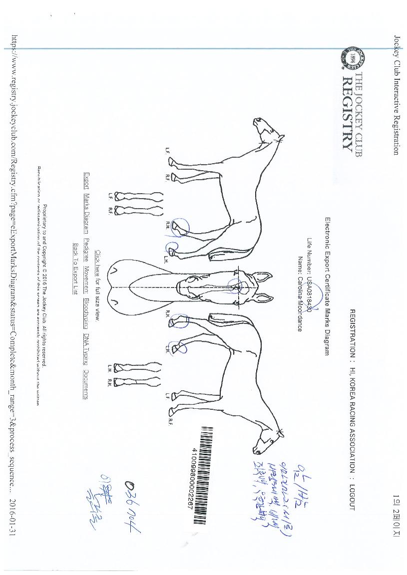 ĳ�Ѷ��̳��������� ����,���,�޸�,�λ�,�ٸ��� Ư¡����