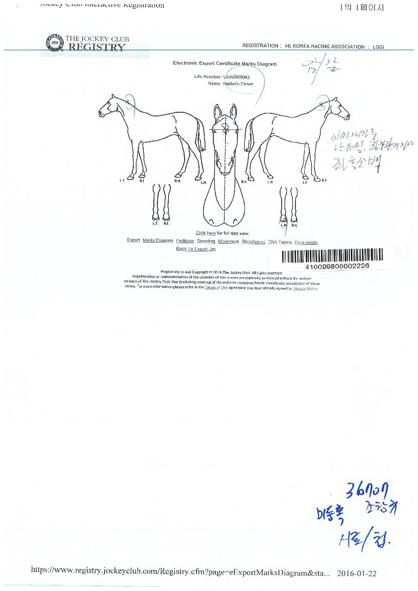 ÇÒ¶õÁîÅ©¶ó¿îÀÇ Ãø¸é,¿ì¸é,µÞ¸é,µÎ»ó,´Ù¸®ÀÇ Æ¯Â¡µµÇØ