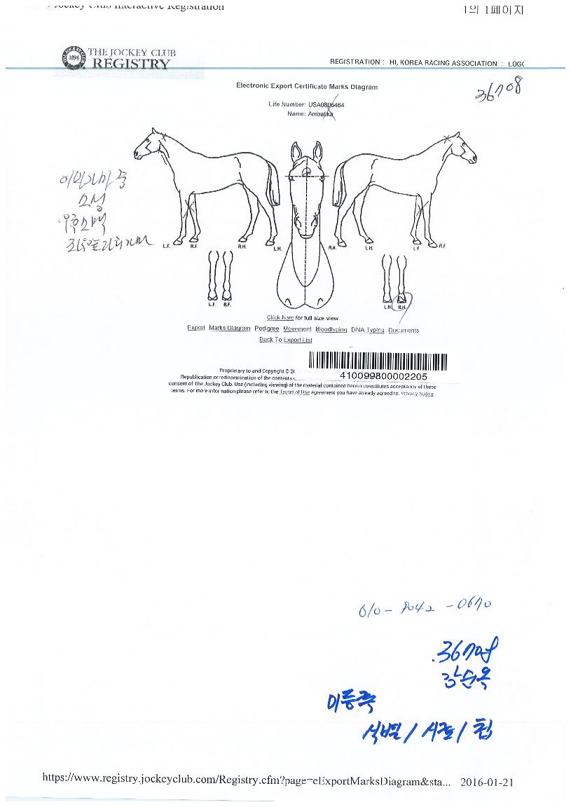 ¾Ï¹Ù¸®Ä«ÀÇ Ãø¸é,¿ì¸é,µÞ¸é,µÎ»ó,´Ù¸®ÀÇ Æ¯Â¡µµÇØ