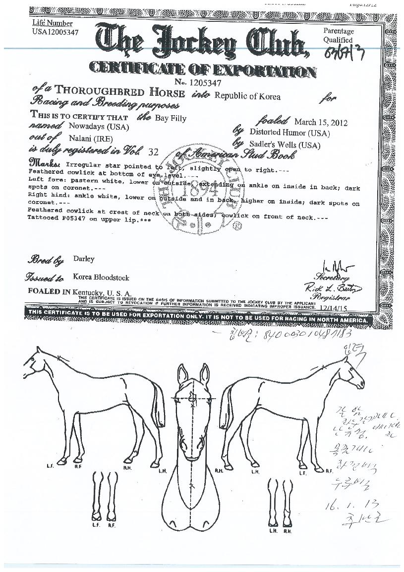 ���������� ����,���,�޸�,�λ�,�ٸ��� Ư¡����