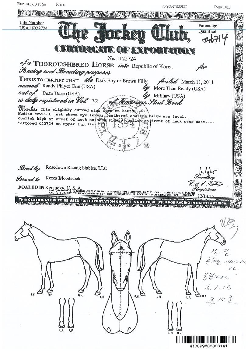 �����÷��̾���� ����,���,�޸�,�λ�,�ٸ��� Ư¡����