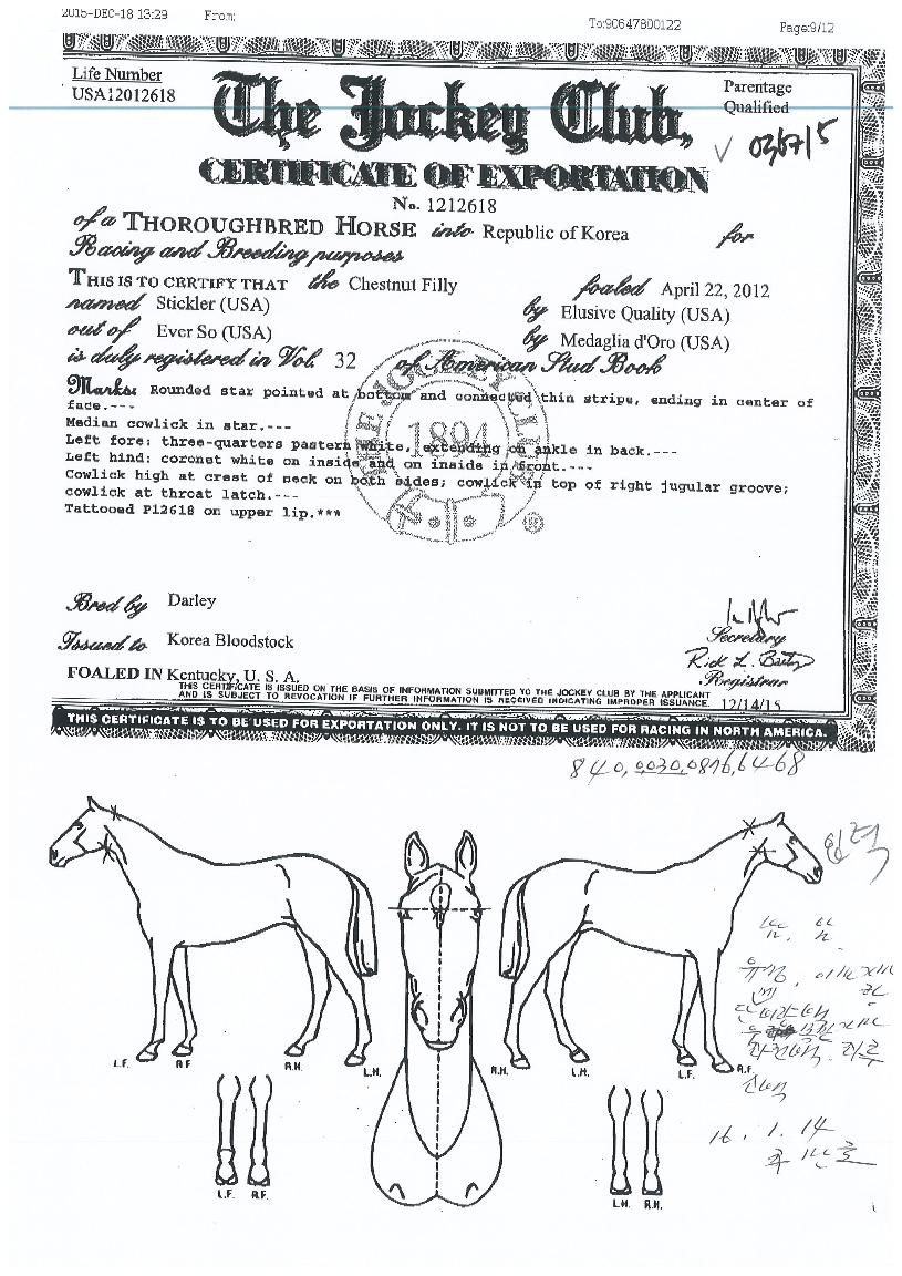 ½ºÆ¼Å¬·¯ÀÇ Ãø¸é,¿ì¸é,µÞ¸é,µÎ»ó,´Ù¸®ÀÇ Æ¯Â¡µµÇØ