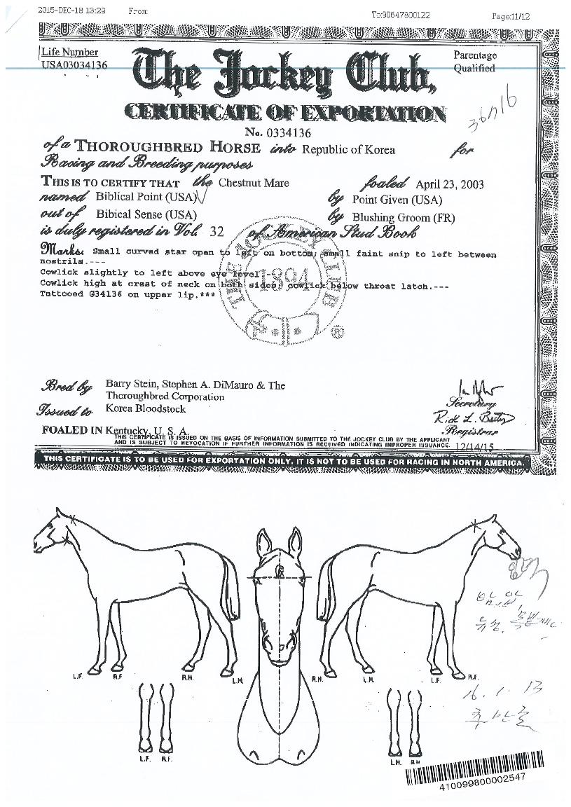 ºñºí¸®ÄÃÆ÷ÀÎÆ®ÀÇ Ãø¸é,¿ì¸é,µÞ¸é,µÎ»ó,´Ù¸®ÀÇ Æ¯Â¡µµÇØ