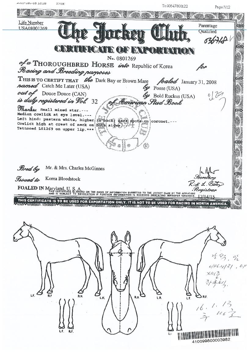 ĳġ�̷������� ����,���,�޸�,�λ�,�ٸ��� Ư¡����