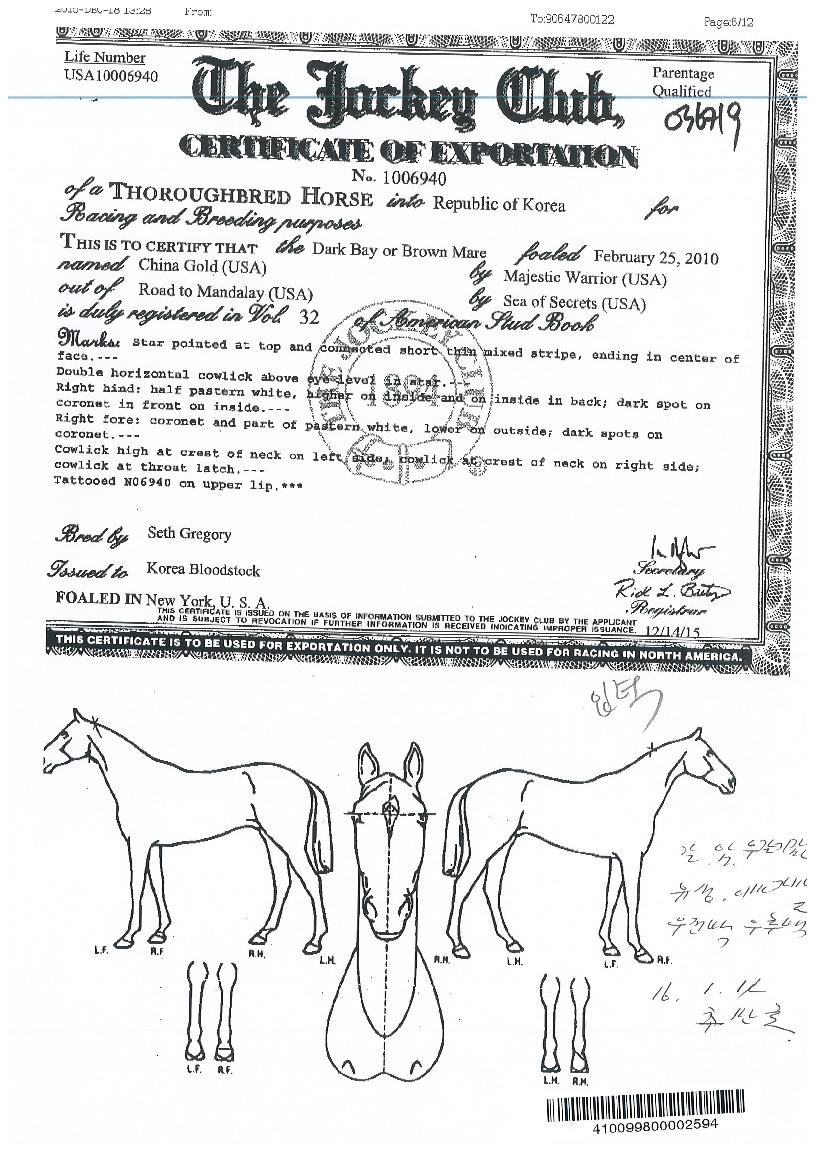 ���̳������ ����,���,�޸�,�λ�,�ٸ��� Ư¡����