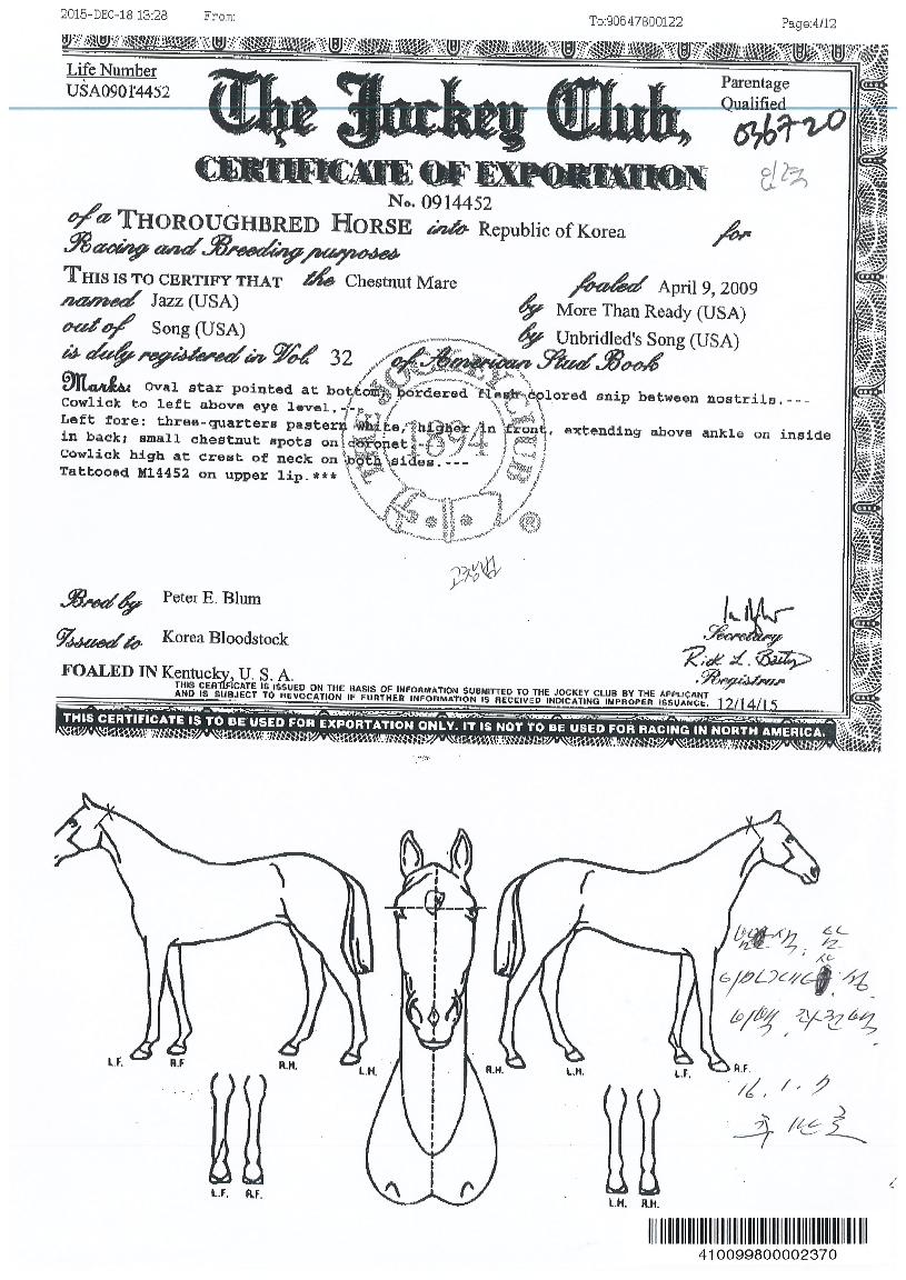 ������ ����,���,�޸�,�λ�,�ٸ��� Ư¡����