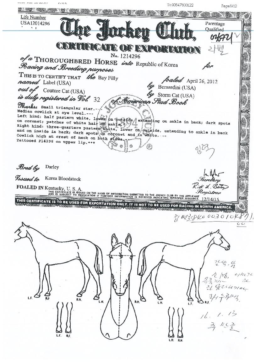 ���̹��� ����,���,�޸�,�λ�,�ٸ��� Ư¡����