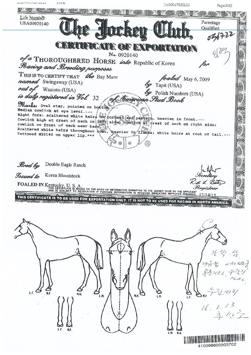 ����������� ����,���,�޸�,�λ�,�ٸ��� Ư¡����