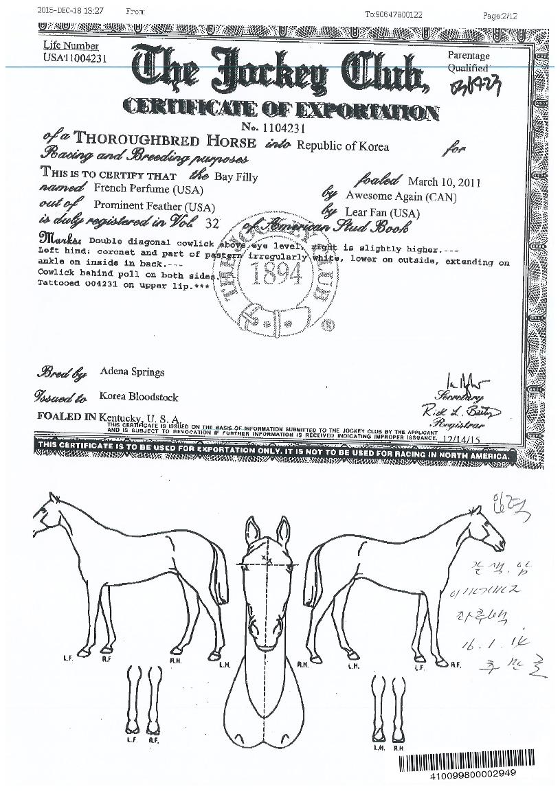 ÇÁ·»Ä¡ÆÛǾÀÇ Ãø¸é,¿ì¸é,µÞ¸é,µÎ»ó,´Ù¸®ÀÇ Æ¯Â¡µµÇØ