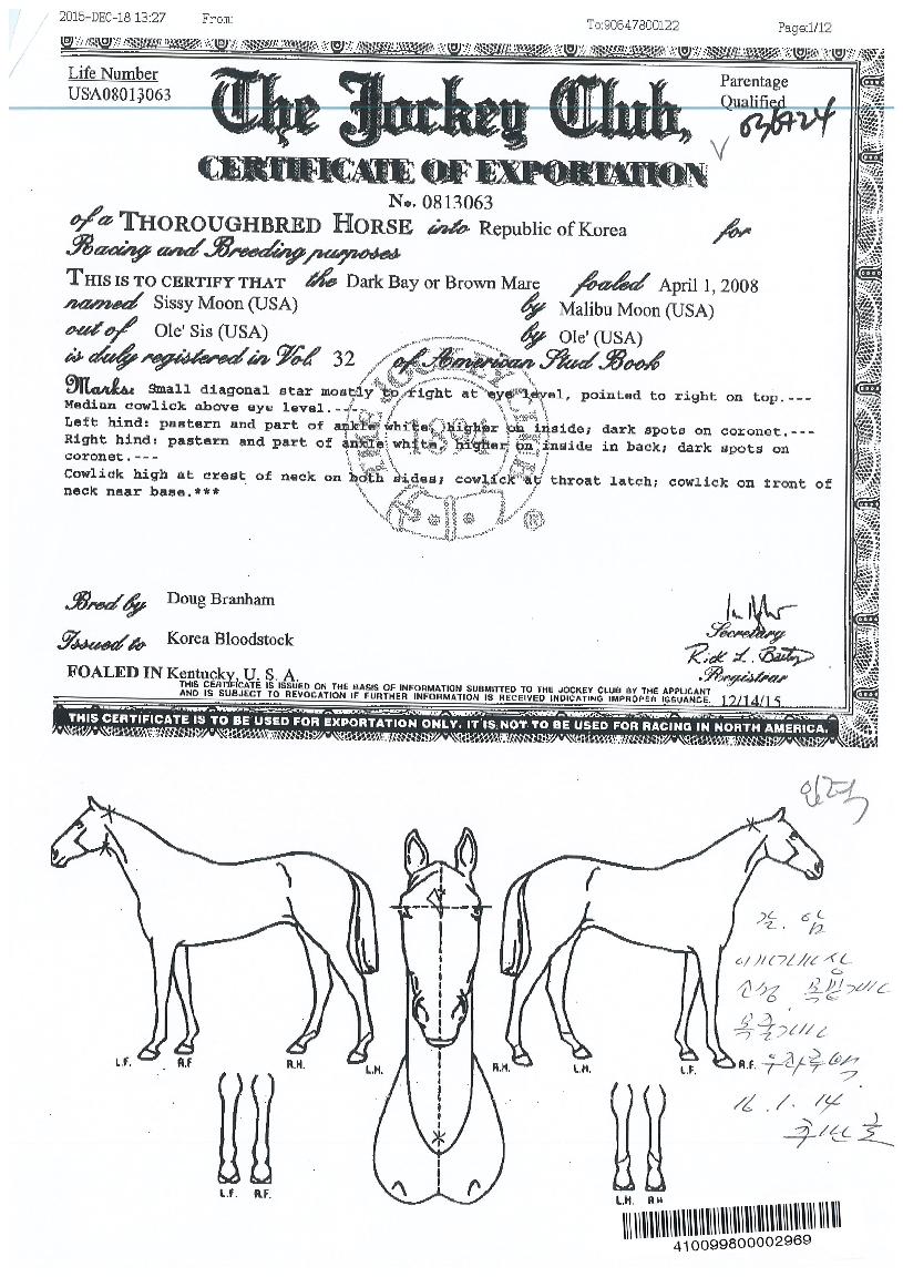 ½Ã½Ã¹®ÀÇ Ãø¸é,¿ì¸é,µÞ¸é,µÎ»ó,´Ù¸®ÀÇ Æ¯Â¡µµÇØ