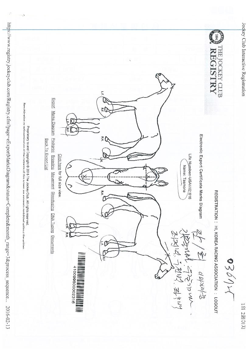 ÅÂÁî¸ð³ªÀÇ Ãø¸é,¿ì¸é,µÞ¸é,µÎ»ó,´Ù¸®ÀÇ Æ¯Â¡µµÇØ