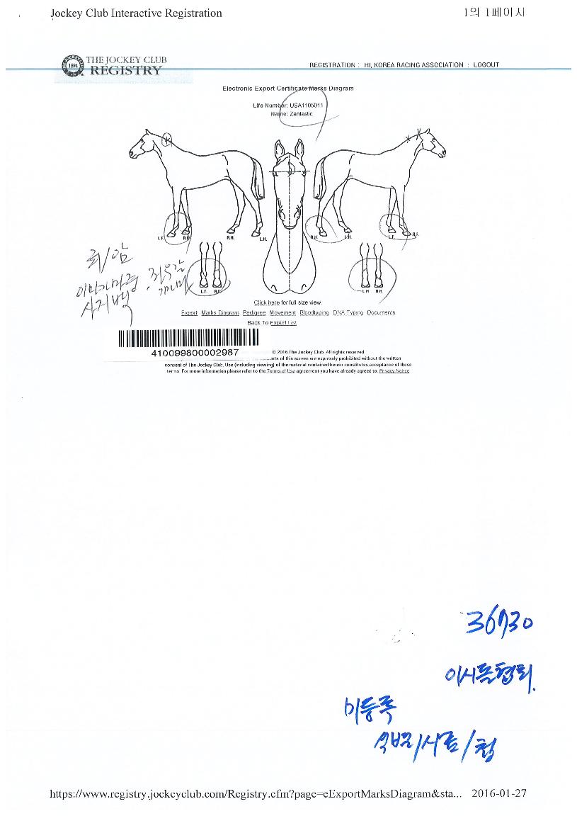 À韽ºÆ½ÀÇ Ãø¸é,¿ì¸é,µÞ¸é,µÎ»ó,´Ù¸®ÀÇ Æ¯Â¡µµÇØ