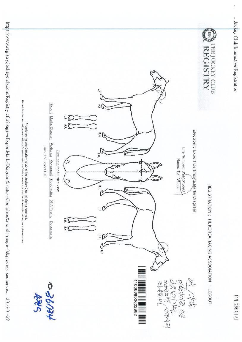 �������ؾ����� ����,���,�޸�,�λ�,�ٸ��� Ư¡����