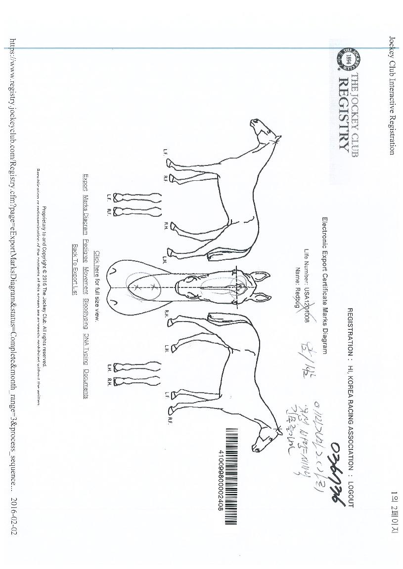 ·¹µå¹÷ÀÇ Ãø¸é,¿ì¸é,µÞ¸é,µÎ»ó,´Ù¸®ÀÇ Æ¯Â¡µµÇØ