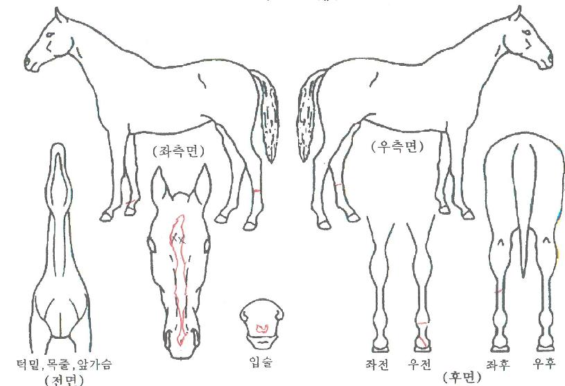 ���̴Ͻ����� ����,���,�޸�,�λ�,�ٸ��� Ư¡����