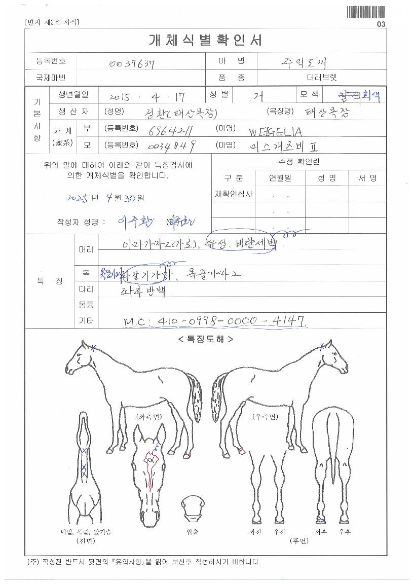 ÁÖ¸Ôµµ³¢ÀÇ Ãø¸é,¿ì¸é,µÞ¸é,µÎ»ó,´Ù¸®ÀÇ Æ¯Â¡µµÇØ