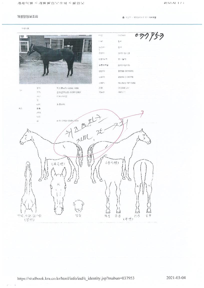 öºñÀÇ Ãø¸é,¿ì¸é,µÞ¸é,µÎ»ó,´Ù¸®ÀÇ Æ¯Â¡µµÇØ