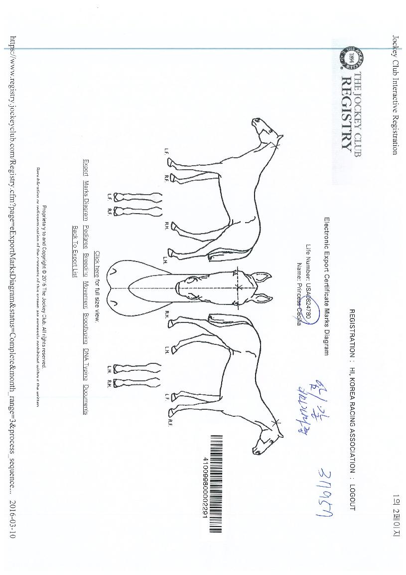 �����������Ǹ����� ����,���,�޸�,�λ�,�ٸ��� Ư¡����