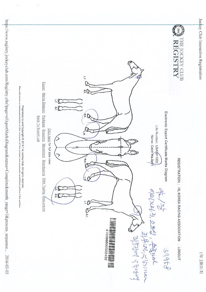 ĳġ�����Ǹ��� ����,���,�޸�,�λ�,�ٸ��� Ư¡����