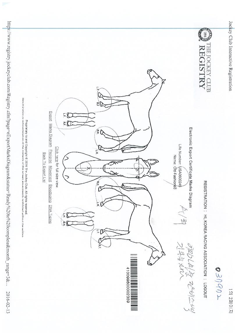 ¿ÃµåÆÐ¼ÇµåÀÇ Ãø¸é,¿ì¸é,µÞ¸é,µÎ»ó,´Ù¸®ÀÇ Æ¯Â¡µµÇØ