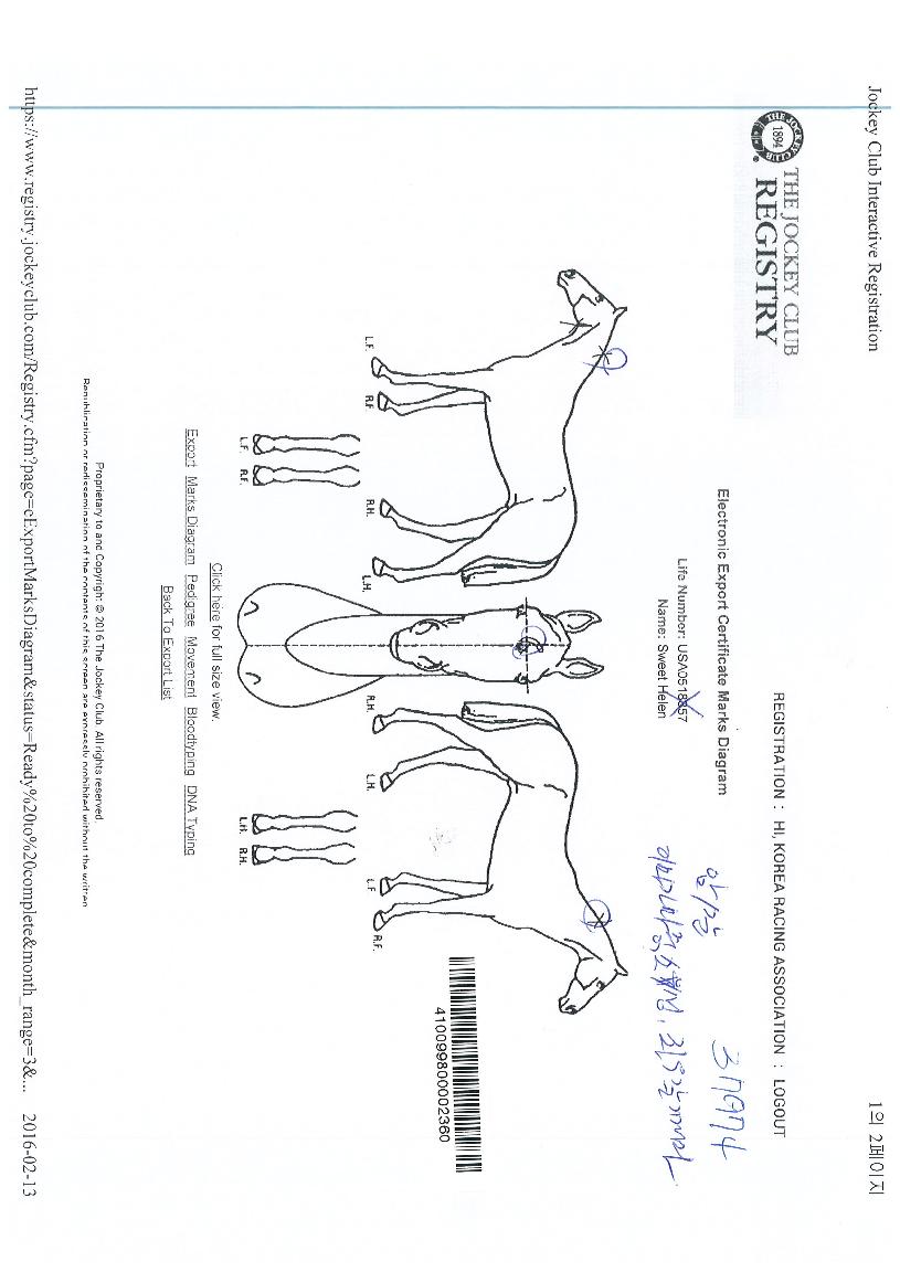 ½ºÀ§Æ®Çï·»ÀÇ Ãø¸é,¿ì¸é,µÞ¸é,µÎ»ó,´Ù¸®ÀÇ Æ¯Â¡µµÇØ