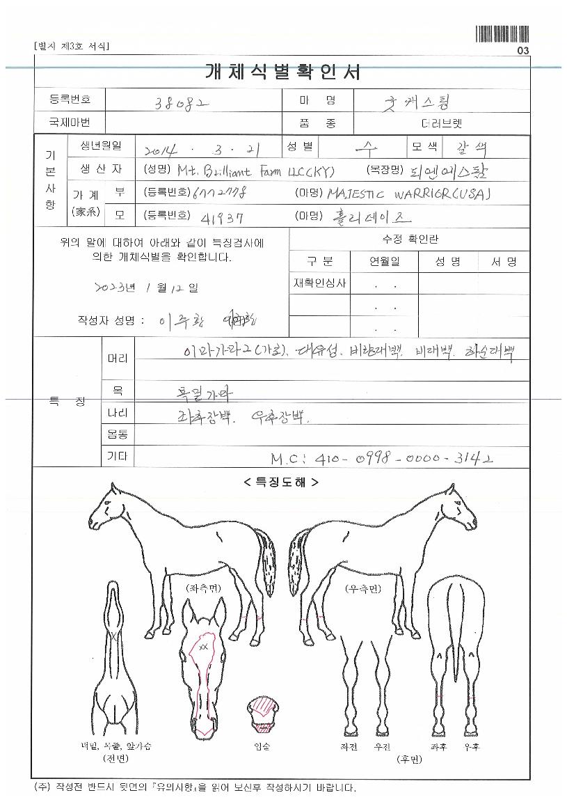 ±Âij½ºÆÃÀÇ Ãø¸é,¿ì¸é,µÞ¸é,µÎ»ó,´Ù¸®ÀÇ Æ¯Â¡µµÇØ