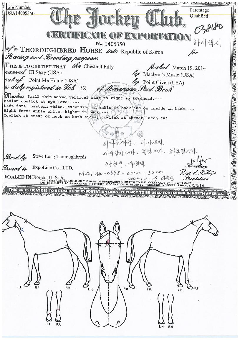 ���̼����� ����,���,�޸�,�λ�,�ٸ��� Ư¡����