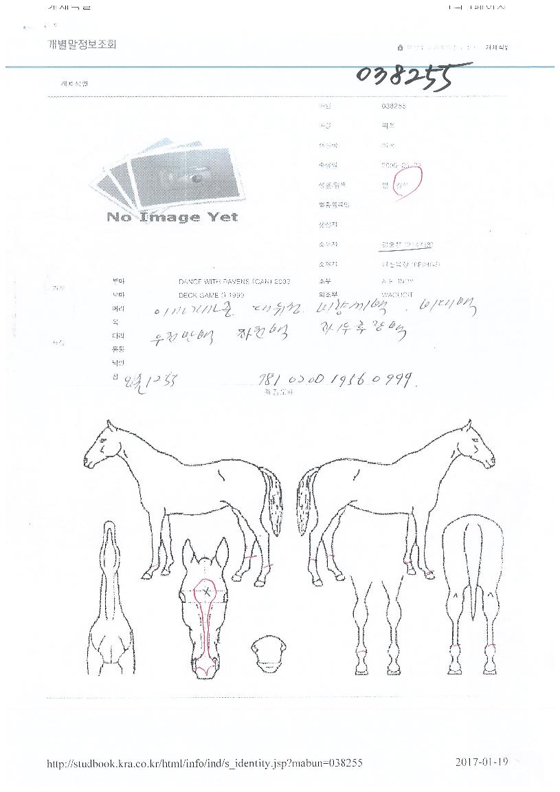 ��Ʈ�� ����,���,�޸�,�λ�,�ٸ��� Ư¡����