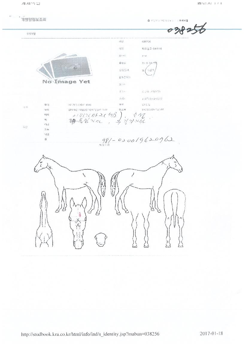 ¹Ù¸£¼¿·Î³ªº£À̺ñÀÇ Ãø¸é,¿ì¸é,µÞ¸é,µÎ»ó,´Ù¸®ÀÇ Æ¯Â¡µµÇØ