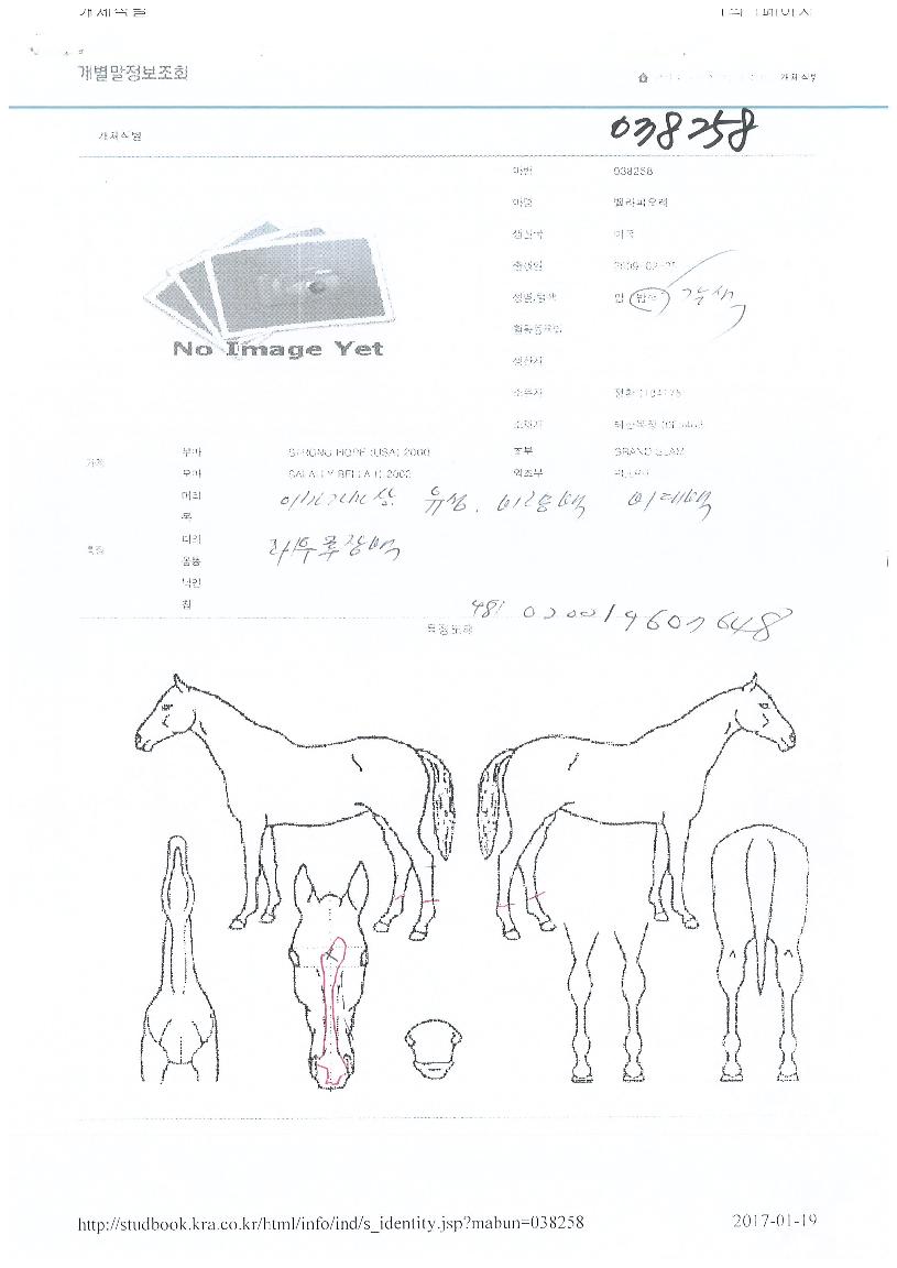 º§¶óÇÇ¿À·¹ÀÇ Ãø¸é,¿ì¸é,µÞ¸é,µÎ»ó,´Ù¸®ÀÇ Æ¯Â¡µµÇØ