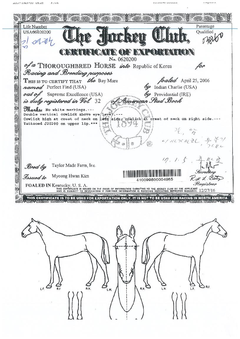 ����Ʈ���ε��� ����,���,�޸�,�λ�,�ٸ��� Ư¡����