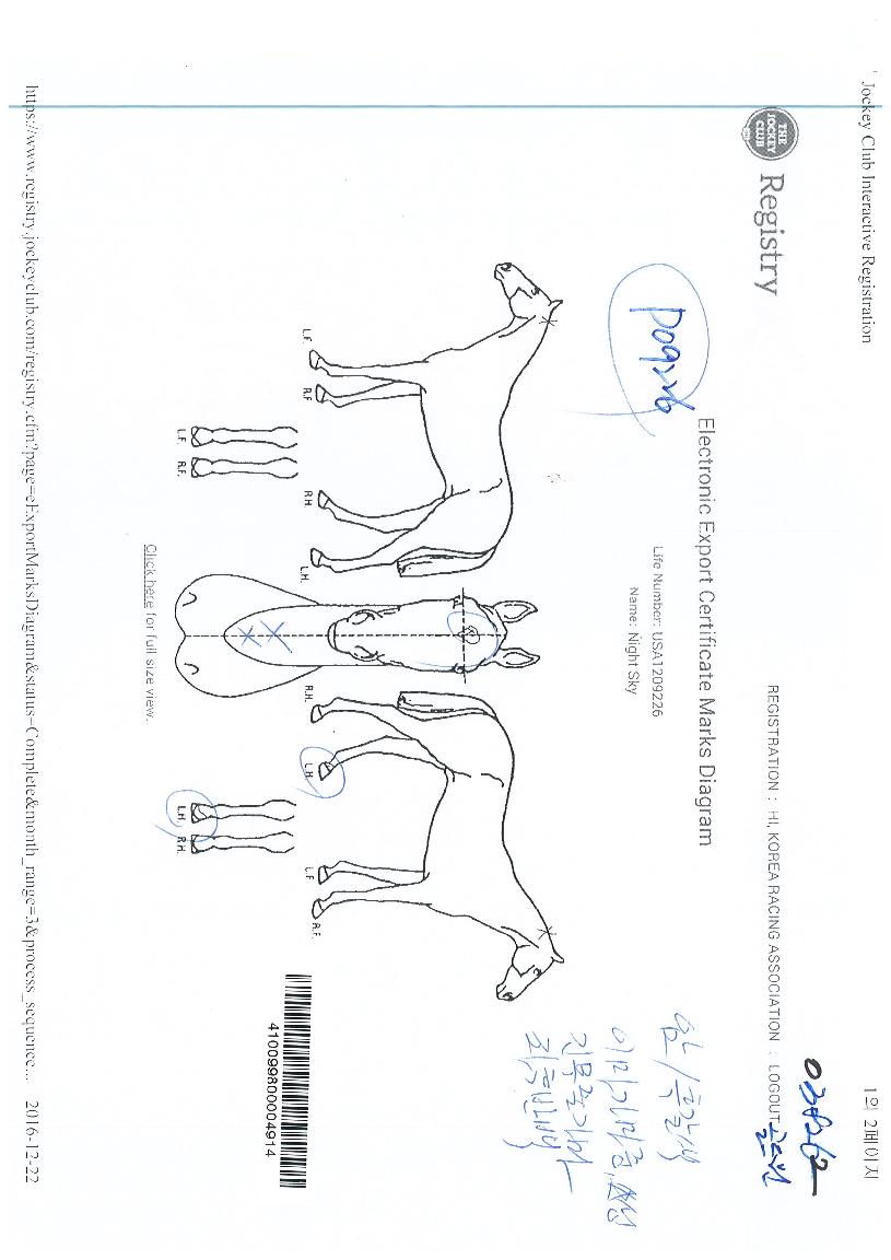 ³ªÀÌÆ®½ºÄ«ÀÌÀÇ Ãø¸é,¿ì¸é,µÞ¸é,µÎ»ó,´Ù¸®ÀÇ Æ¯Â¡µµÇØ