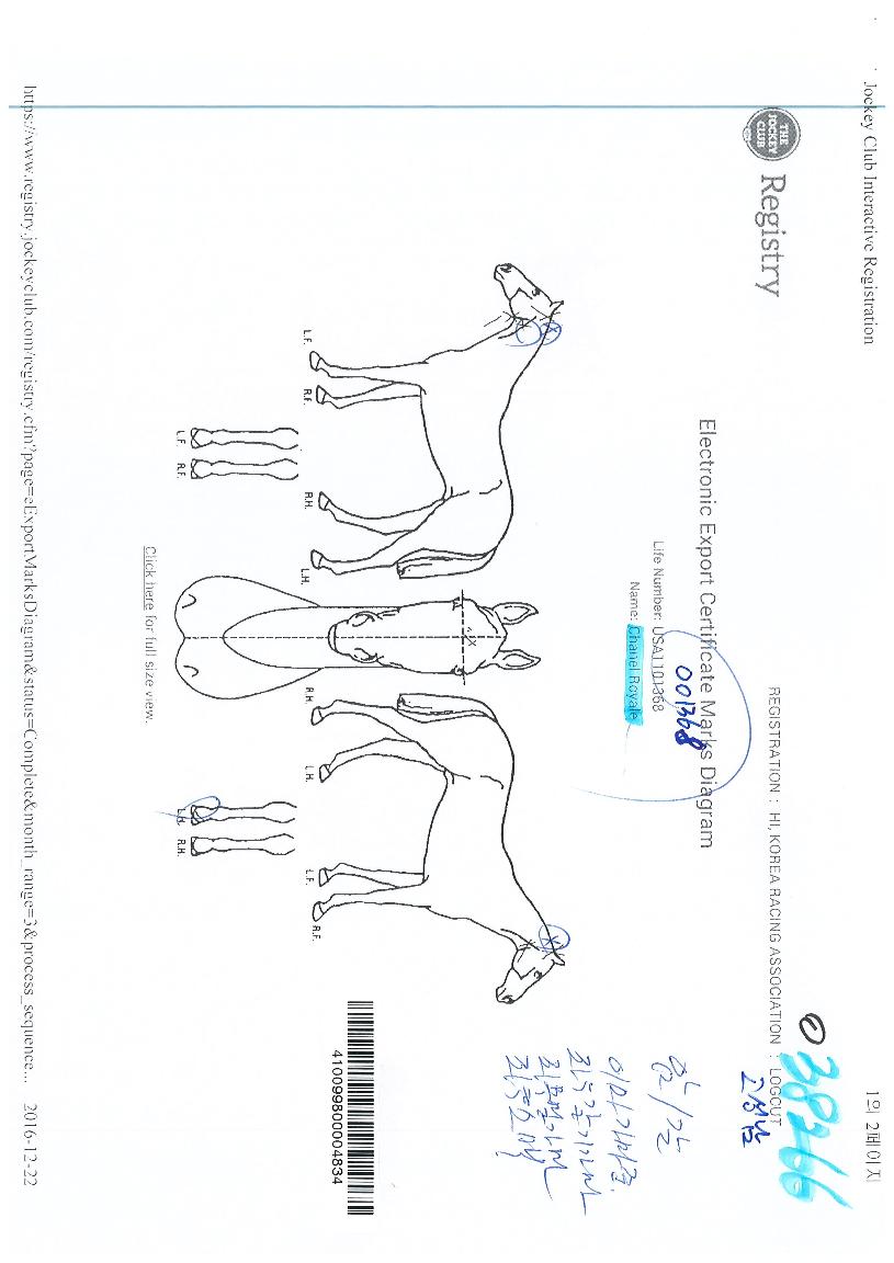 ���ڷο��� ����,���,�޸�,�λ�,�ٸ��� Ư¡����