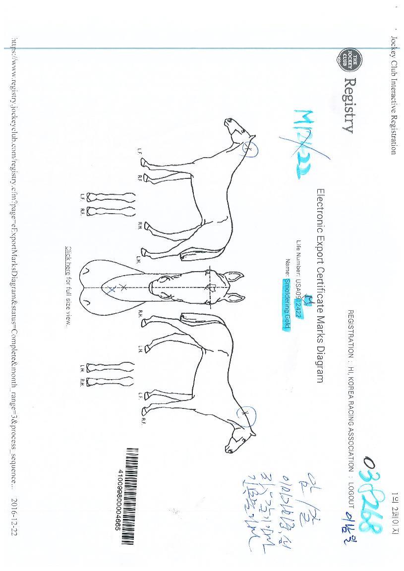 ������������� ����,���,�޸�,�λ�,�ٸ��� Ư¡����