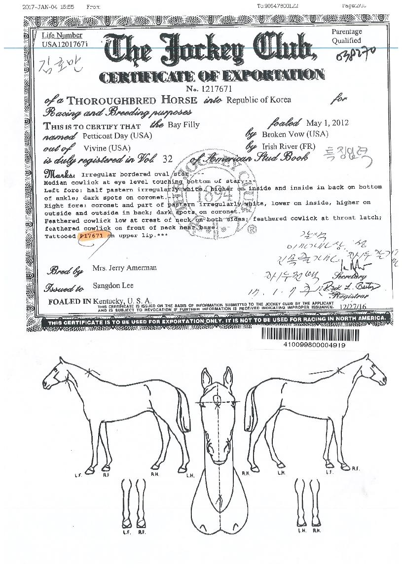 ÆäƼÄÚÆ®µ¥ÀÌÀÇ Ãø¸é,¿ì¸é,µÞ¸é,µÎ»ó,´Ù¸®ÀÇ Æ¯Â¡µµÇØ