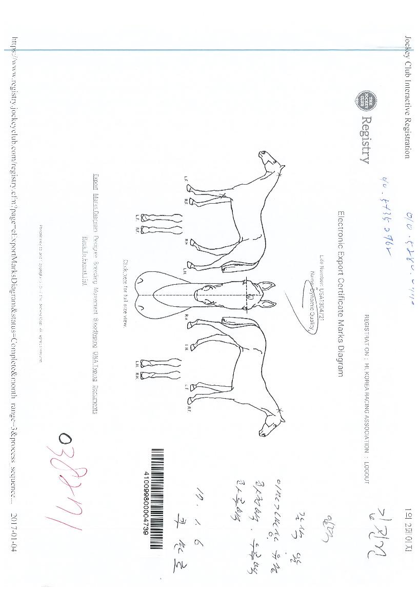 ´ÙÀ̳ª¹ÍÄ÷¸®Æ¼ÀÇ Ãø¸é,¿ì¸é,µÞ¸é,µÎ»ó,´Ù¸®ÀÇ Æ¯Â¡µµÇØ