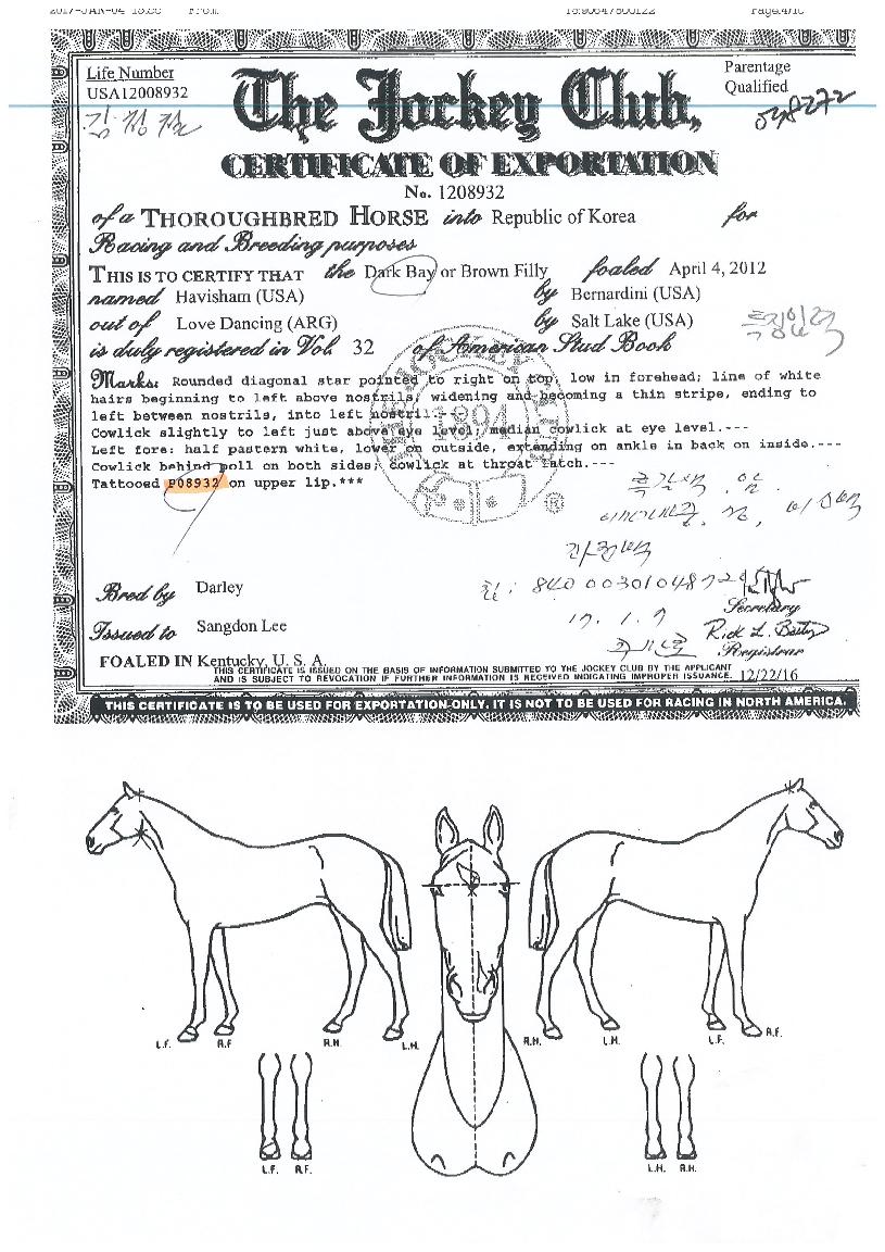 �غ��� ����,���,�޸�,�λ�,�ٸ��� Ư¡����