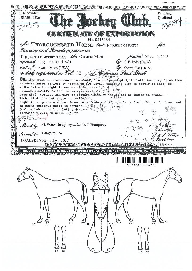 �ε�Ʈ������ ����,���,�޸�,�λ�,�ٸ��� Ư¡����