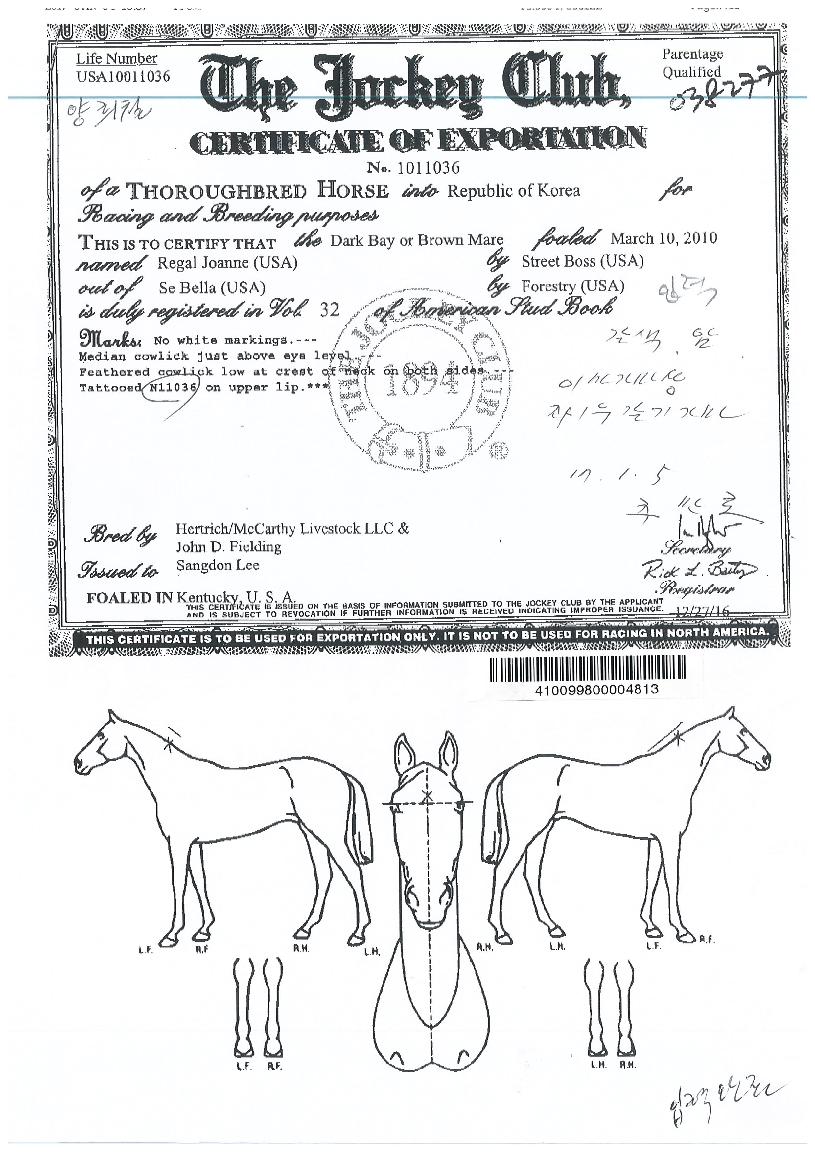 ���������� ����,���,�޸�,�λ�,�ٸ��� Ư¡����