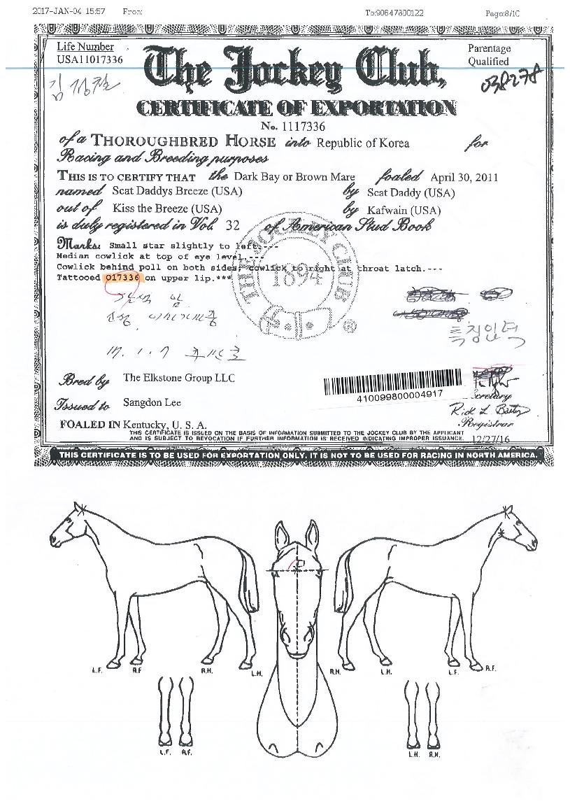 ��Ĺ�����긮���� ����,���,�޸�,�λ�,�ٸ��� Ư¡����