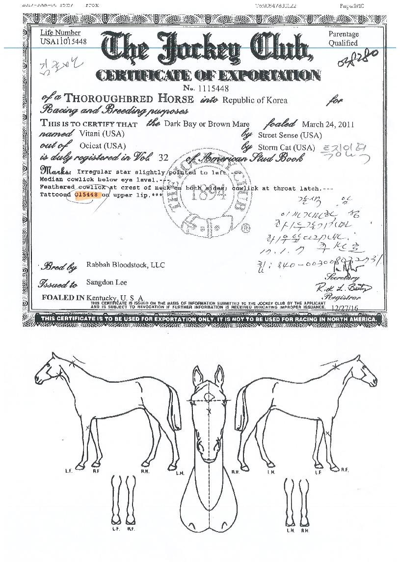 ��Ÿ���� ����,���,�޸�,�λ�,�ٸ��� Ư¡����