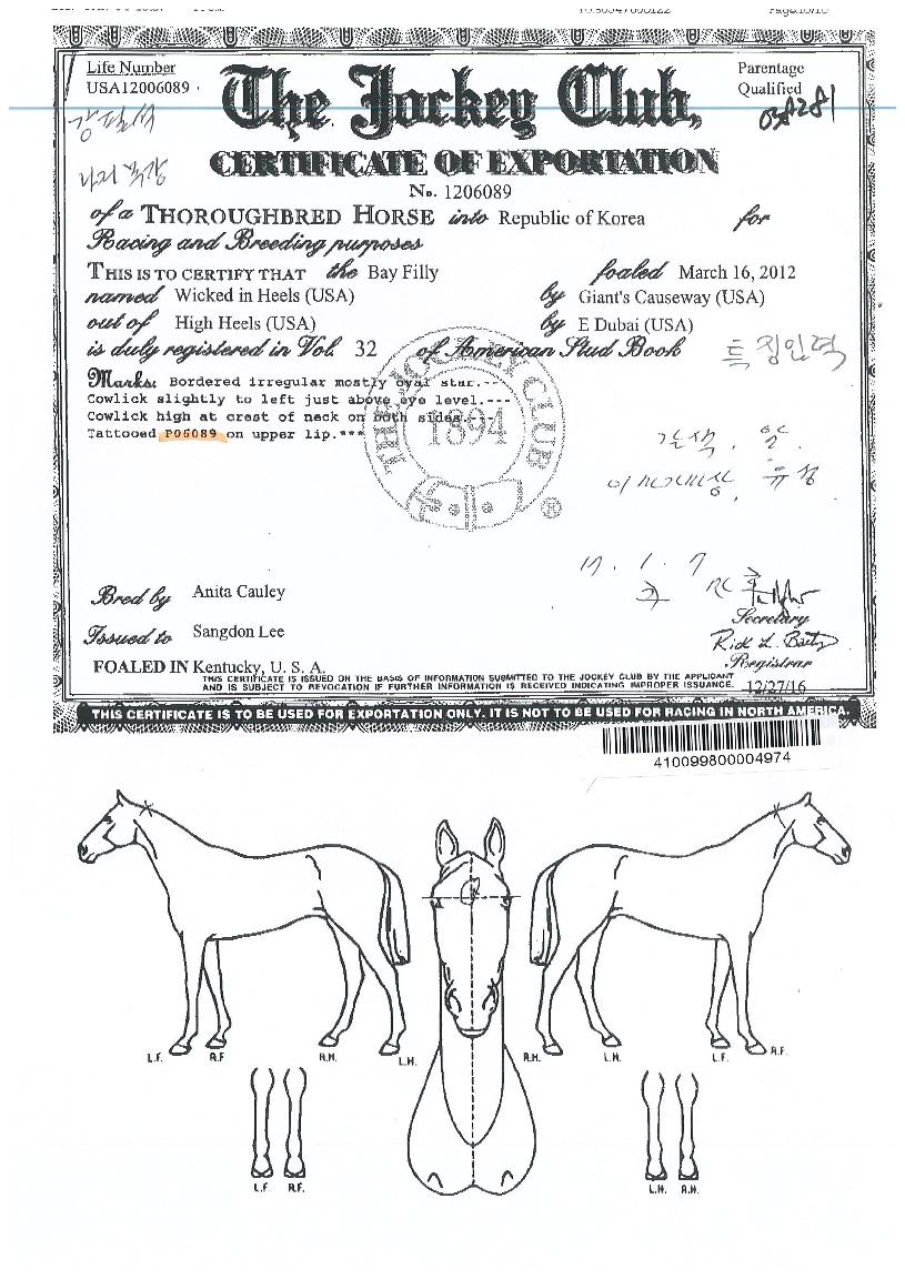 À§Å°µåÀÎÈú½ºÀÇ Ãø¸é,¿ì¸é,µÞ¸é,µÎ»ó,´Ù¸®ÀÇ Æ¯Â¡µµÇØ