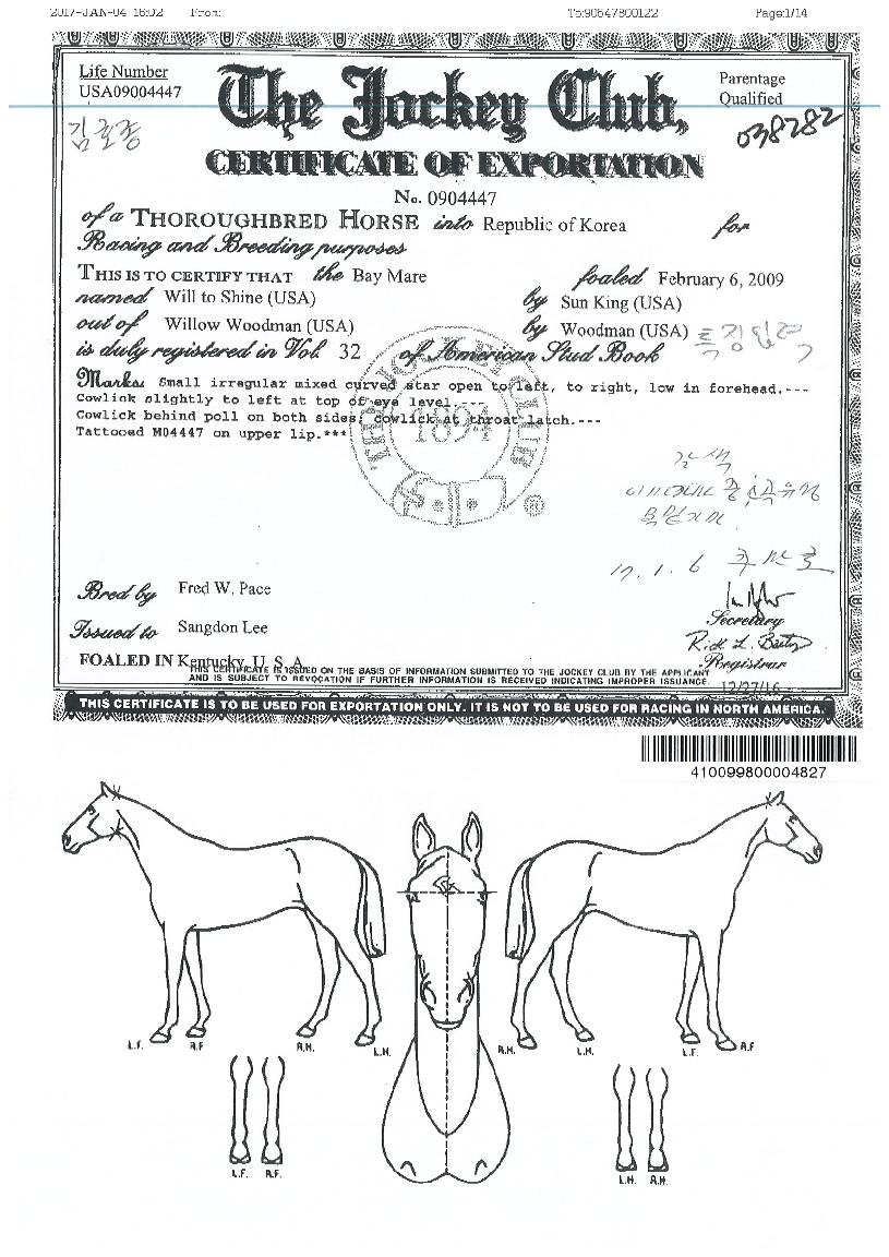 ÀªÅõ»þÀÎÀÇ Ãø¸é,¿ì¸é,µÞ¸é,µÎ»ó,´Ù¸®ÀÇ Æ¯Â¡µµÇØ