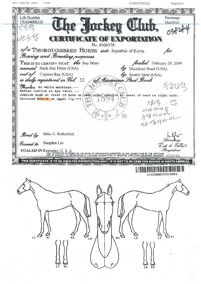 ¹éº£À̵ñ½ÃÀÇ Ãø¸é,¿ì¸é,µÞ¸é,µÎ»ó,´Ù¸®ÀÇ Æ¯Â¡µµÇØ