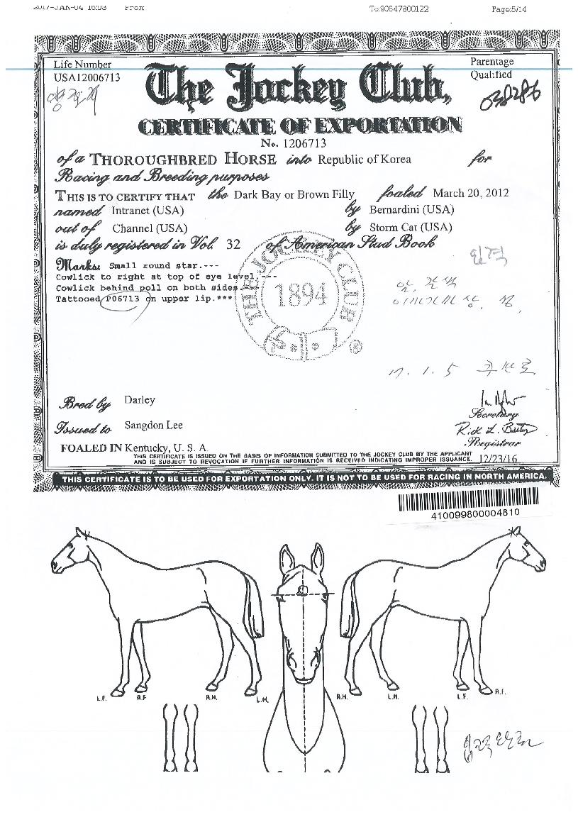 ��Ʈ����� ����,���,�޸�,�λ�,�ٸ��� Ư¡����