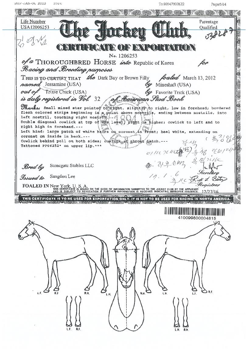 �������� ����,���,�޸�,�λ�,�ٸ��� Ư¡����