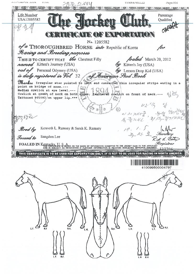 Űư�������� ����,���,�޸�,�λ�,�ٸ��� Ư¡����