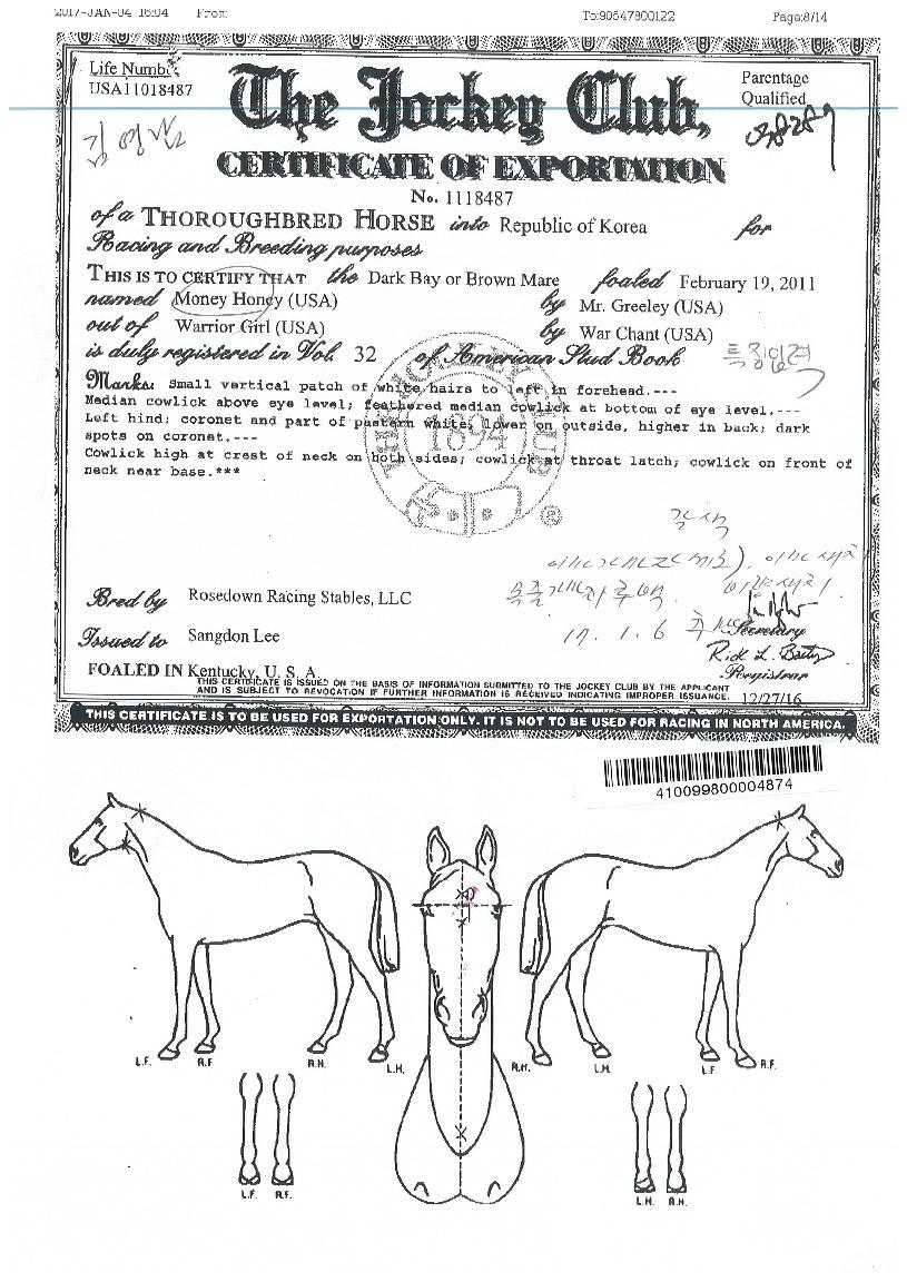 �Ӵ������ ����,���,�޸�,�λ�,�ٸ��� Ư¡����