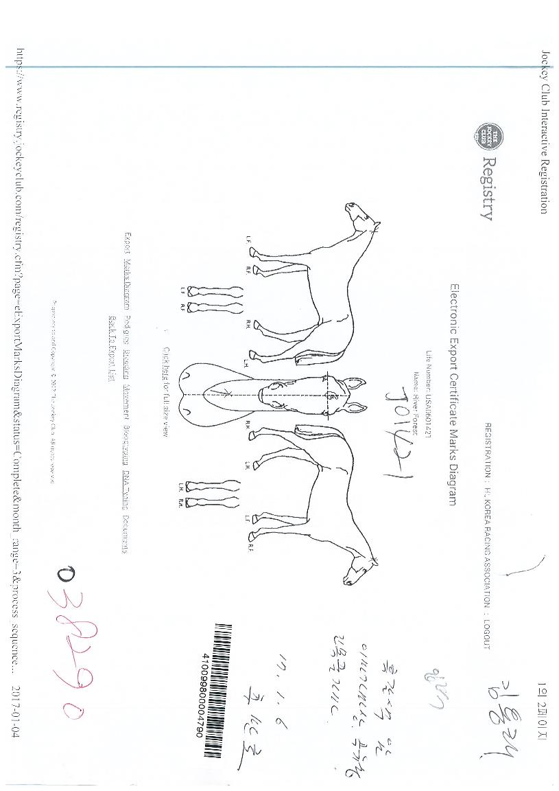 ¸®¹öÆ÷¸®½ºÆ®ÀÇ Ãø¸é,¿ì¸é,µÞ¸é,µÎ»ó,´Ù¸®ÀÇ Æ¯Â¡µµÇØ